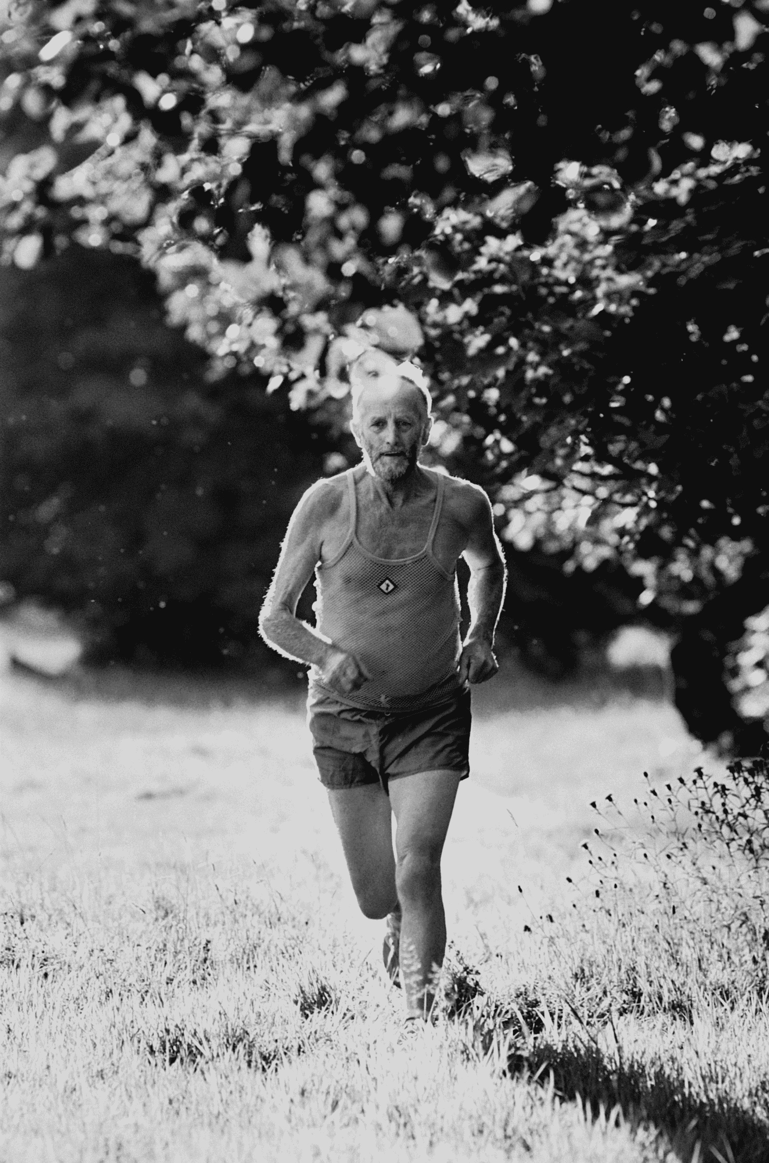 Gerald Winzer