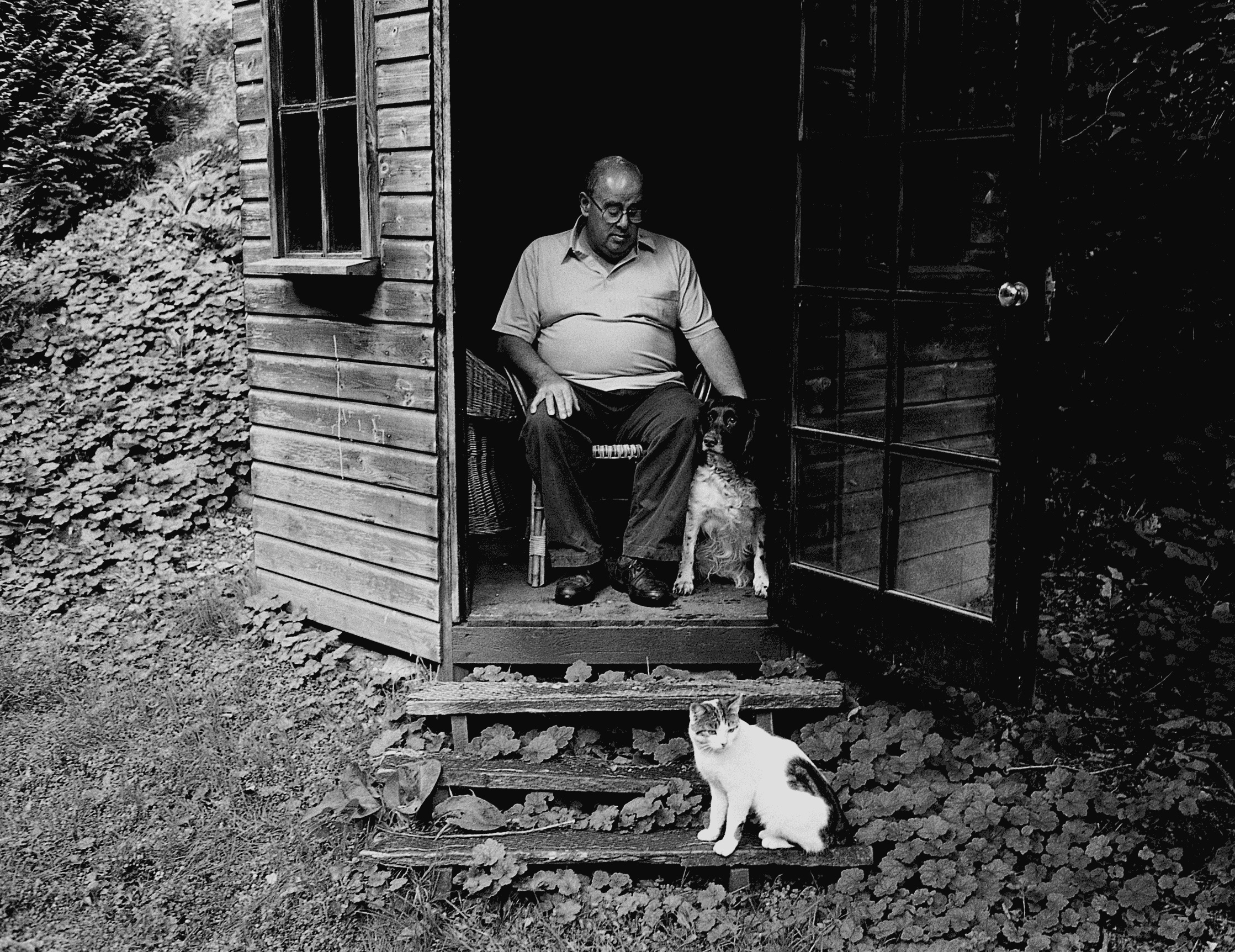 John Pedder